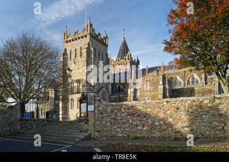 UK, Devon, Ottery St Mary, St Mary's Church. Stock Photo