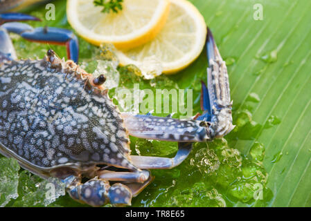 Fresh raw blue swimming crab seafood with ice and lemon on banana leaf background Stock Photo