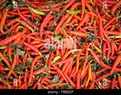 red chili pepper on threshing basket to sun dry background Stock Photo