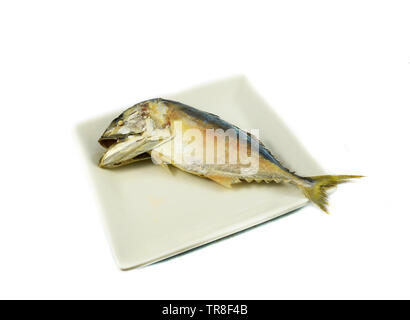 Steamed Mackerel fish on plate isolated on white background Stock Photo