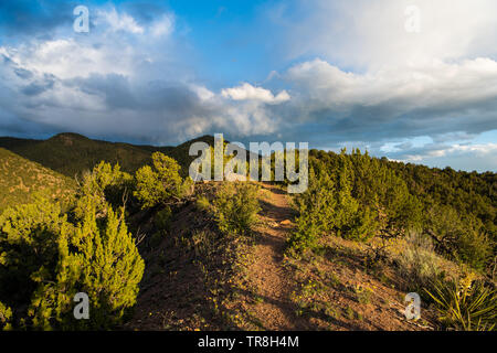 Dramatic light at dusk on a hiking trail through high hills under a stormy sky - Sangre de Cristo Mountains near Santa Fe, New Mexico Stock Photo