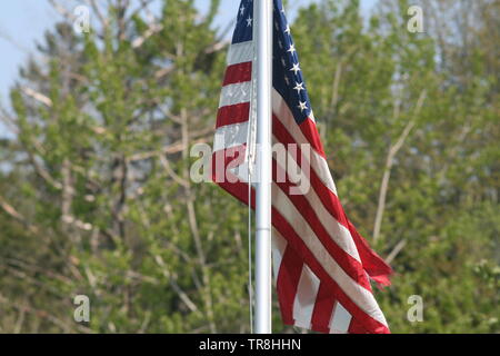 American flag waving on pole with tree in the background, go red white and blue American Flag a waving in the breeze Stock Photo