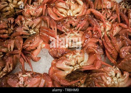 Fresh crabs at Tsukiji fish market in central Tokyo, Japan Stock Photo