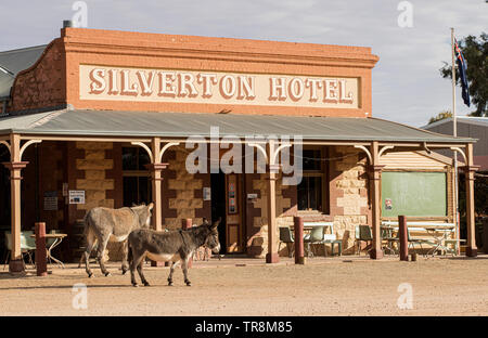 Ghost town Silverton in outback New South Wales and the Silverton Hotel with the towns resident donkeys. Stock Photo