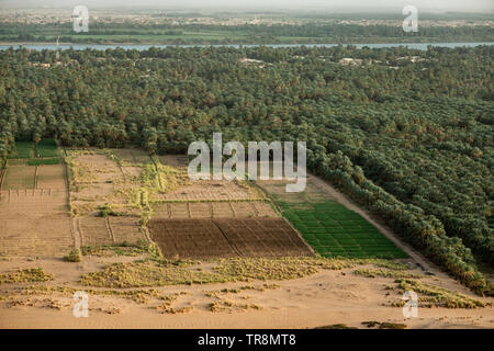 Large cultivation area with date palms and adjacent small vegetable fields on the Nile near Karima, Sudan, Africa Stock Photo