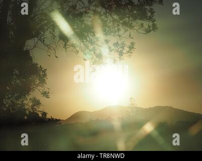 Streaks of golden sunlight emanating from this pale orange yellow Sunset scene with hills at back and tree silhouette in front, Australia Stock Photo