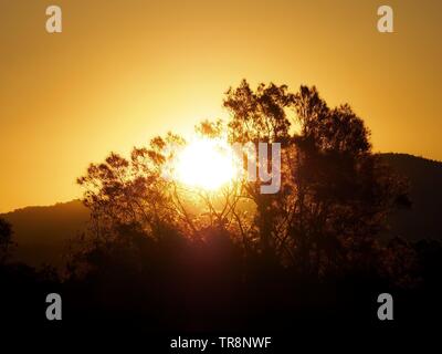 Vibrant warm orange Sunset, the sun right in between trees just above mountains, casting a warm silhouette of the trees, Australian landscape Stock Photo