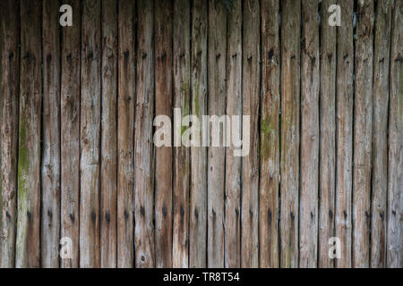 Background in old rustic wooden plank Stock Photo