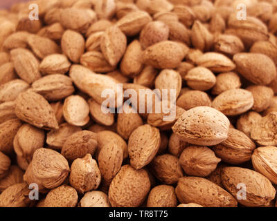 Almond kernels in the shell at the counter of the country market. Stock Photo