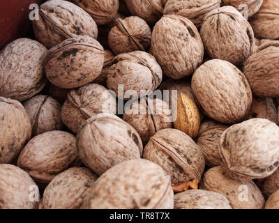 Almond kernel in the shell between walnuts. Different between others concept. Stock Photo