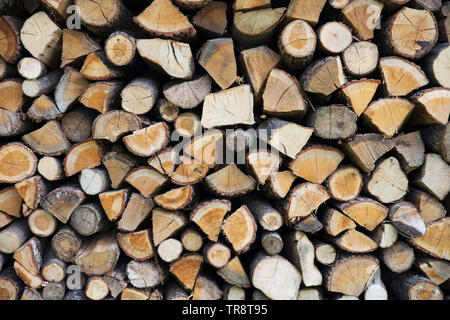 Background in old rustic wooden plank Stock Photo