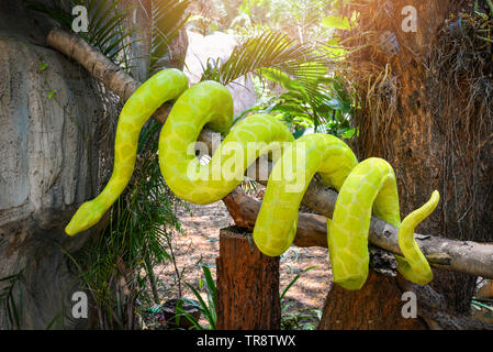 boa snake statue / the big green boa on tree branch on nature park Stock Photo