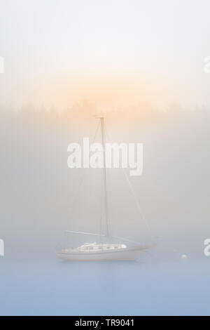 Sailboat At Dawn On A Foggy Morning In Door County Wisconsin Stock 