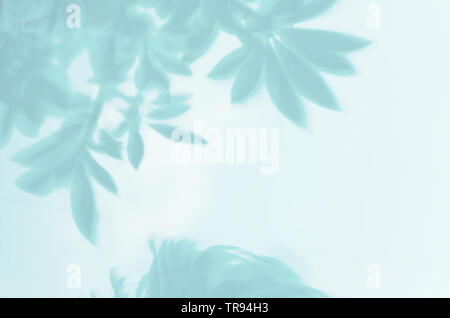 Soft shadow of tree branches on blue background. Blurred silhouette of leaves on pool water. Defocused abstract nature wallpaper. Soft focus and motio Stock Photo