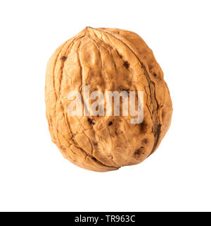 walnut one whole walnut isolated on white clipping path Stock Photo