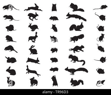 Black silhouettes of rodents on a white background Stock Photo