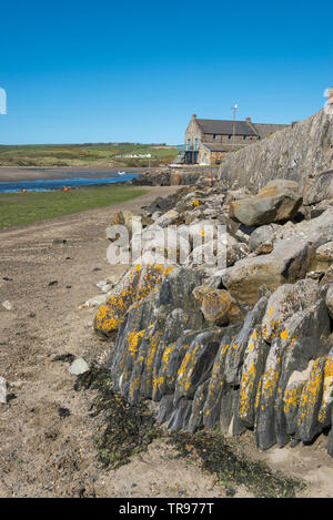 Harbour at Newport Parrog in Pembrokeshire, Wales. Newport boat club seen beyond the stone wall. Newport sands in the background. Stock Photo