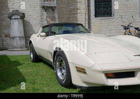 Melsele, Belgium, 30 may 2019, the general motors chevrolet corvette picture taken at a car show Stock Photo