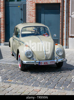 Melsele, Belgium, 30 may 2019, Volkswagen Beetle photo taken from the front and vertical on a car show Stock Photo