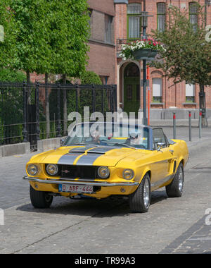 Melsele, Belgium, 30 may 2019, Yellow mustang 428 Cobra jet, on a car show in Melsele Belgium Stock Photo