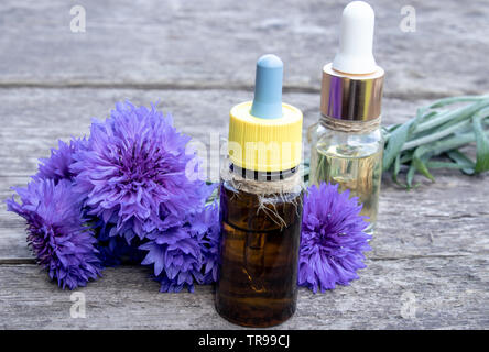 Cornflower essential oil. Cornflower flowers Close-up. Stock Photo