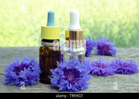 Cornflower essential oil. Cornflower flowers Close-up. Stock Photo