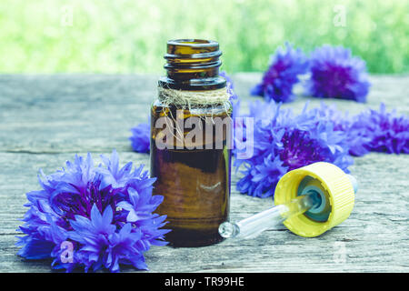 Cornflower essential oil. Cornflower flowers Close-up. Stock Photo