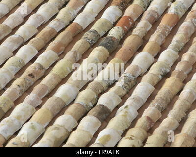 The colour and shape of the terracotta tiled rooftops are a distinctive feature of the landscape in Orvieto; close-up photo of rows of curved tiles Stock Photo