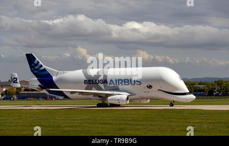 Airbus A330-743L Beluga XL2, F-WBXS at Hawarden Airport positioning for take off Stock Photo