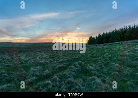 Orange sky over a green grassy field at sunset. Landscape scene Stock Photo