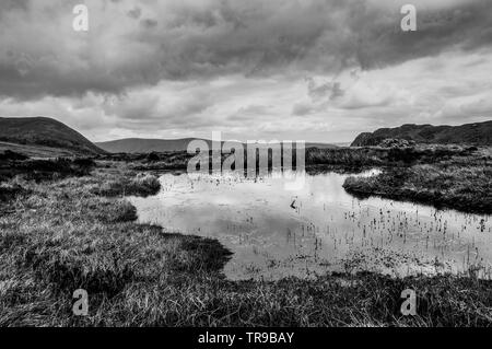 Clouds reflecting in a mountain pond. Background mountain scene Stock Photo