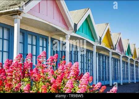 WEYMOUTH, UK - MAY 26th, 2019: Colorful beach huts sit along the promanade along the beachfront in Weymouth, Dorset UK. Stock Photo