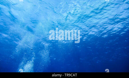 COZUMEL, MEXICO: seabed deep blue underwater Stock Photo
