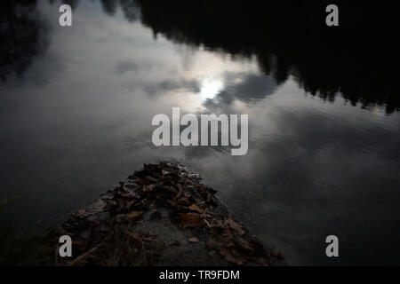 Gloomy landscapes with dark trees photographed on a murky stormy winter ...