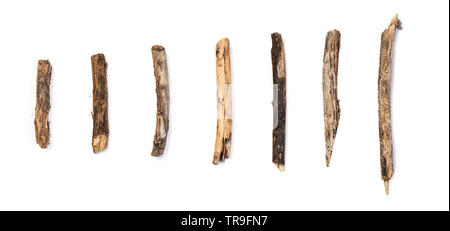 set macro dry branches birch isolated on white background Stock Photo