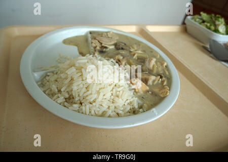 Fricassee with mushrooms sauce and rice as lunch in the hospital Stock Photo