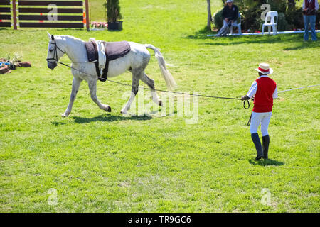 Johannesburg, South Africa - October 08 2011: Equestrian Show Jumping and Horse Riding display Stock Photo