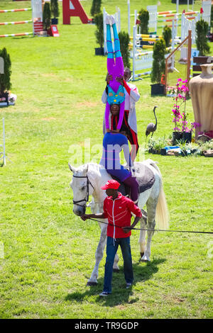 Johannesburg, South Africa - October 08 2011: Equestrian Show Jumping and Horse Riding display Stock Photo