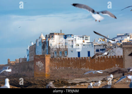 Amazing panoramic view of Essaouira Ramparts aerial in Essaouira, Morocco. Stock Photo