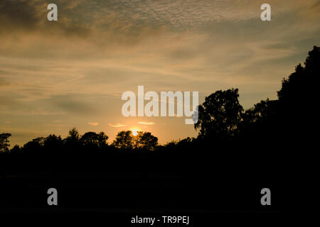 Sunset behind the silhouetted trees. Stock Photo