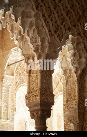 Intricate carved archways at Alhambra palace, in Granada, Spain. Stock Photo
