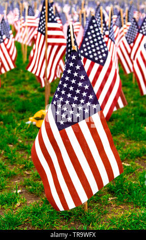 Thousands of American flags planted to honor the fallen soldiers from Massachusetts in every war since the Revolution Stock Photo