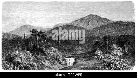 Summit of Talang on Sumatra, ,  (encyclopedia, 1893) Stock Photo