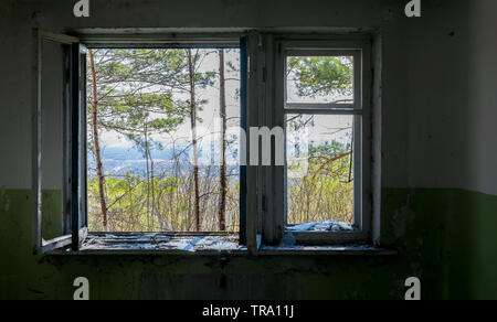 View from the window of the destroyed abandoned building on the street with trees Stock Photo