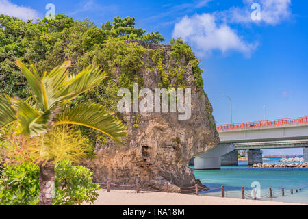 palm tree on the sandy beach Naminoue topped by a huge rock with a Shinto Shrine at the top of a cliff and a highway passing in Naha City in Okinawa P Stock Photo