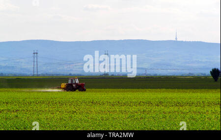 Farming tractor plowing and spraying on field of oil beet. - image Stock Photo