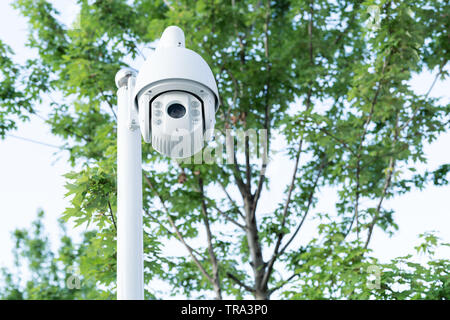 Outdoor security CCTV monitor white color on tree backgrounds Stock Photo