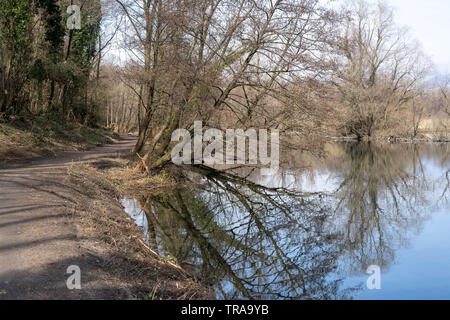 Cycleway along the Adda river near Imbersago and Brivio (Lombardy, Italy) at winter Stock Photo