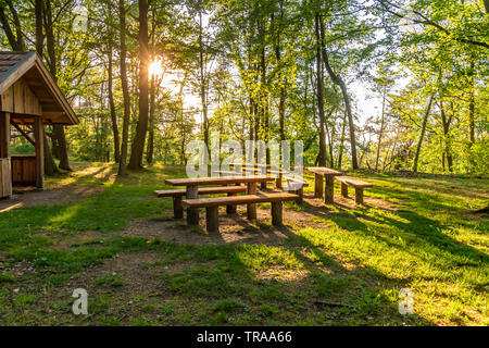 View of a resting place in the forest illuminated by the setting sun whose rays shine through the trees. Stock Photo