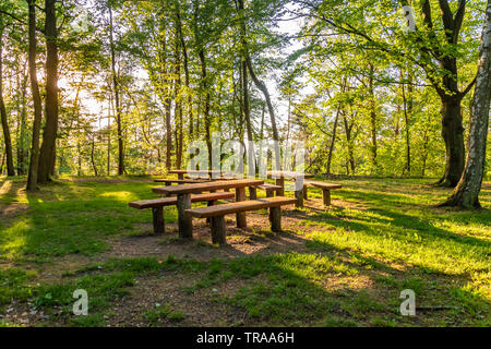 View of a resting place in the forest illuminated by the setting sun whose rays shine through the trees. Stock Photo